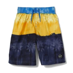 Billion Beach Boardshort 17"-Speedo Clearance