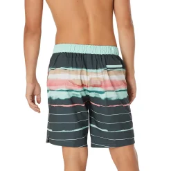 Bondi Horizon Bondi Basin Boardshort 20"-Speedo Online