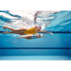 Solid Double Lace Back One Piece-Speedo Discount