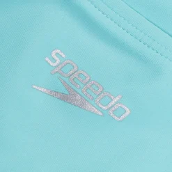 Solid Vertical Splice One Piece-Speedo Clearance