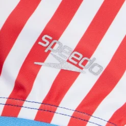 Stripe Blocked One Piece-Speedo Discount