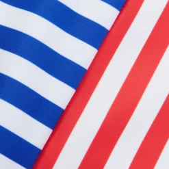 Stripe Blocked One Piece-Speedo Discount